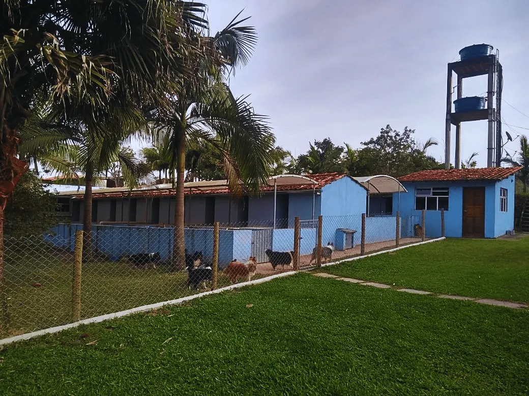 canil_01 canil_01