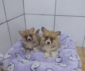 Lunna & Kim
